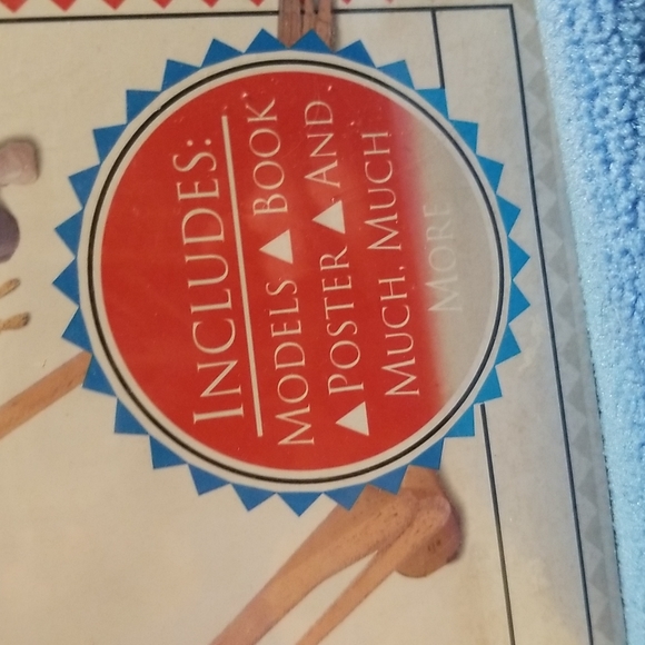 Action Pack Make Your Own Skeleton and More - Picture 2 of 7